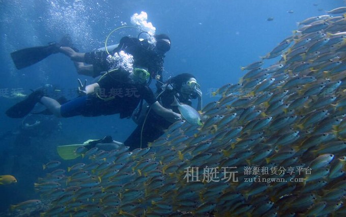 租游艇出海玩什么？十類炫酷水上玩具